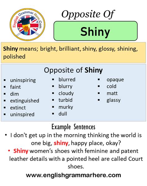 antonyms of shiny